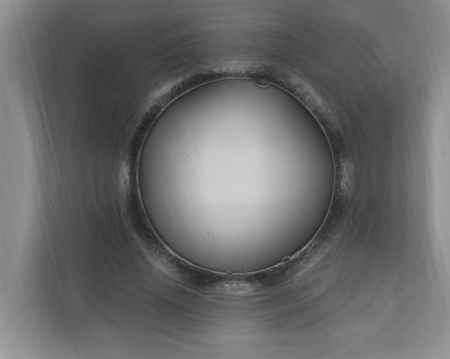 X0000110890636200906251318