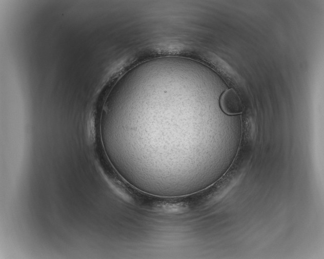 X0000110890638200906251318