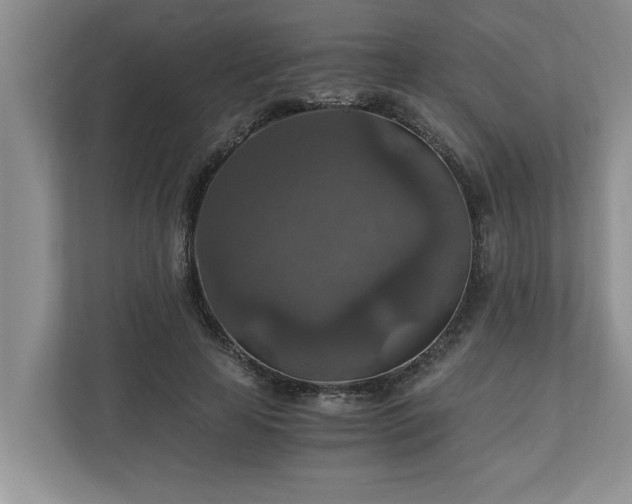 X0000110890641200906251318