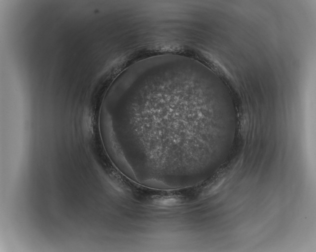 X0000110890643200906251318