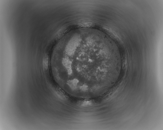 X0000110890647200906251318