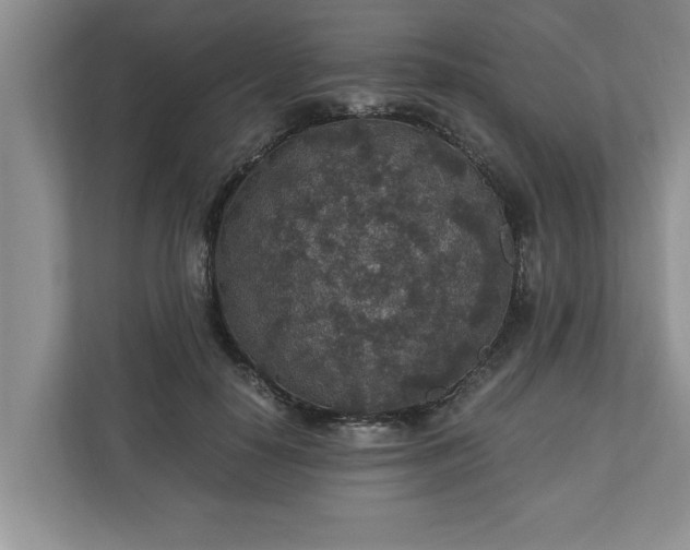 X0000110890650200906251318
