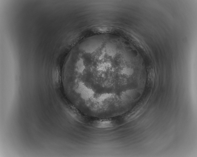 X0000110890651200906251318