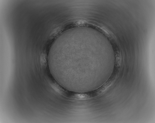 X0000110890654200906251318