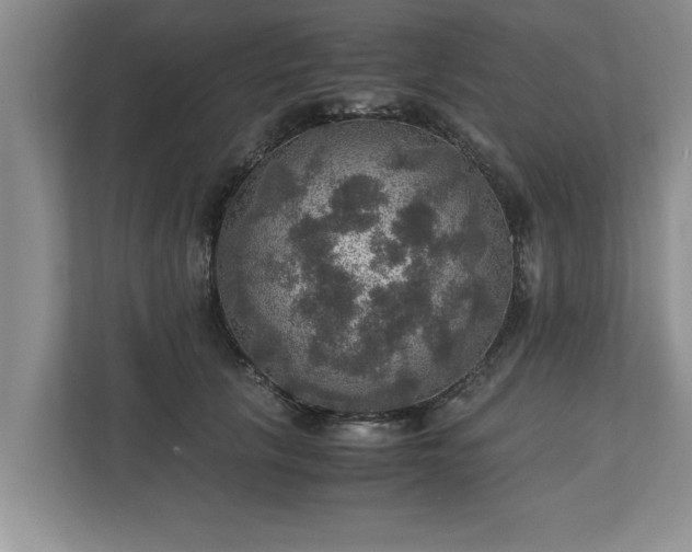 X0000110890657200906251318
