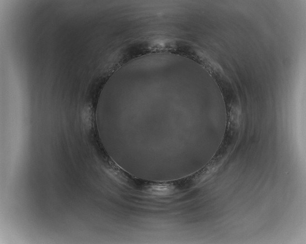 X0000110890659200906251318