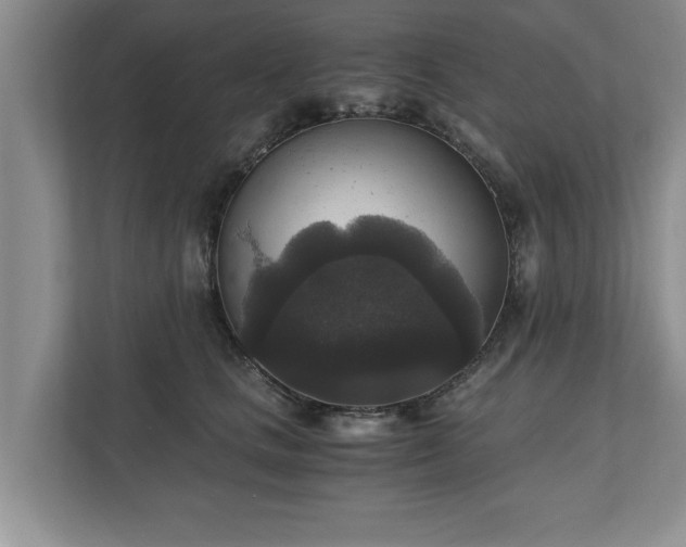 X0000110890661200906251318