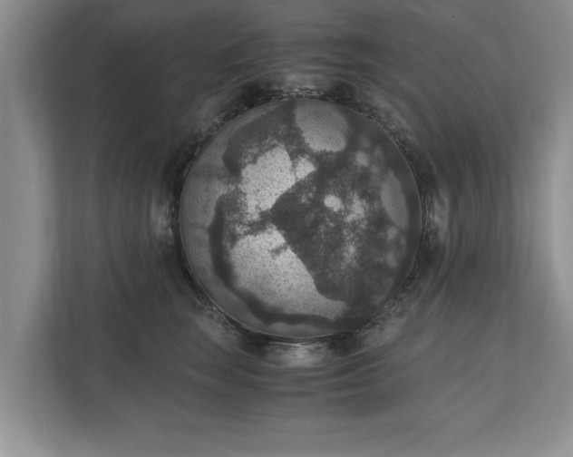 X0000110890663200906251318