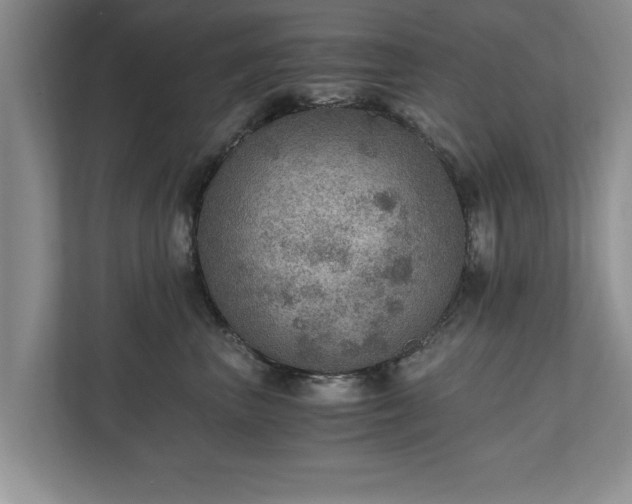 X0000110890667200906251318