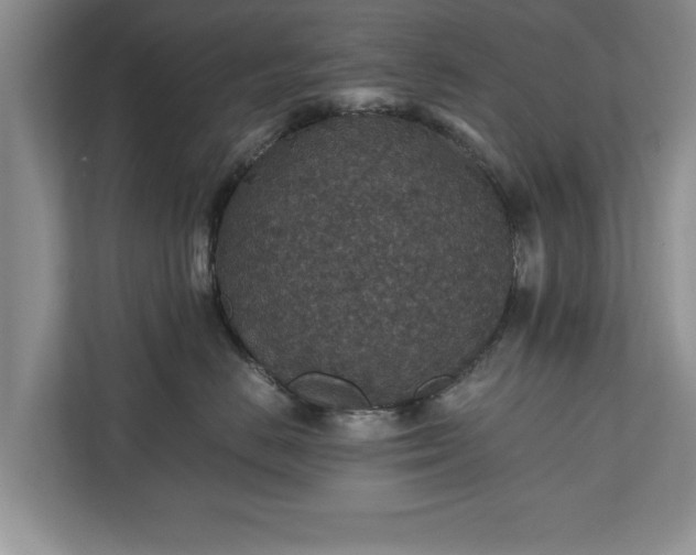 X0000110890670200906251318