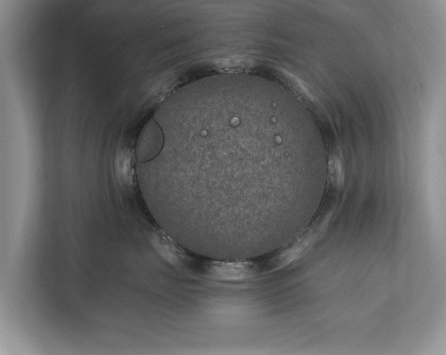 X0000110890671200906251318