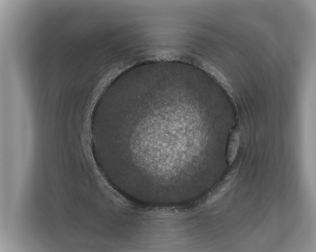 X0000110890673200906251318