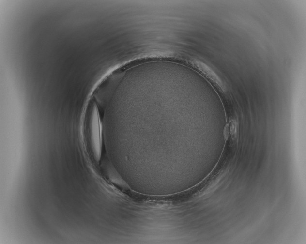X0000110890676200906251318