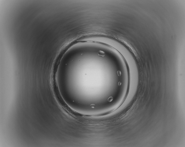 X0000110890677200906251318