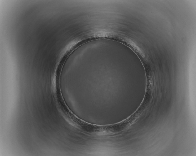 X0000110890678200906251318