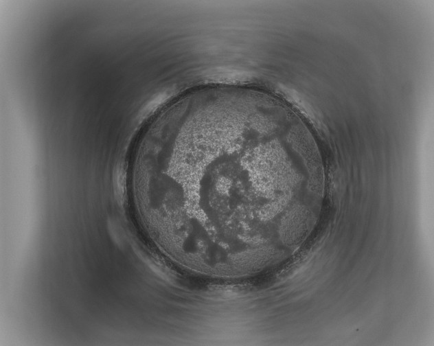 X0000110890679200906251318
