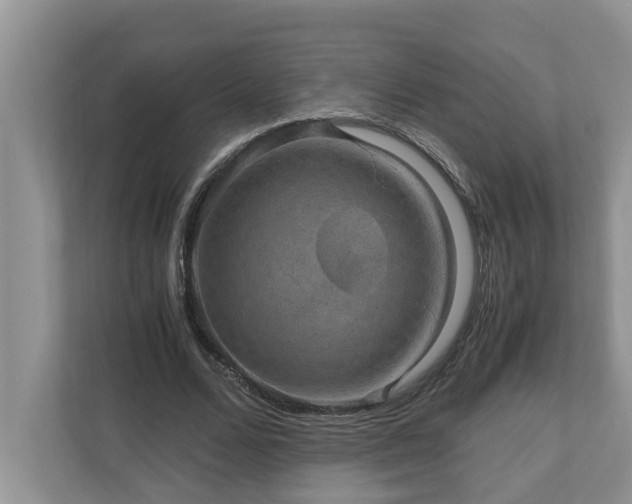 X0000110890680200906251318