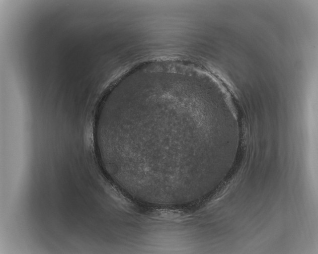 X0000110890681200906251318