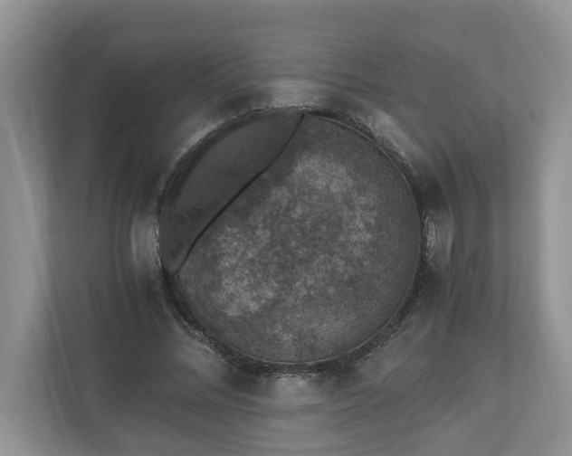 X0000110890684200906251318