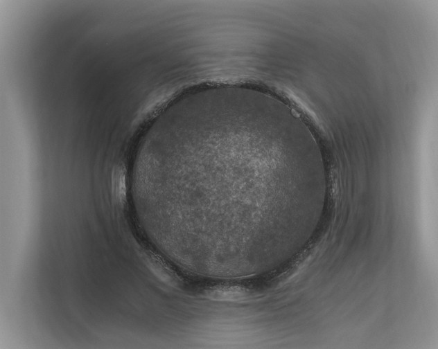 X0000110890685200906251318