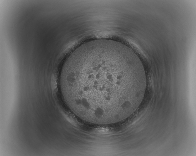 X0000110890687200906251318