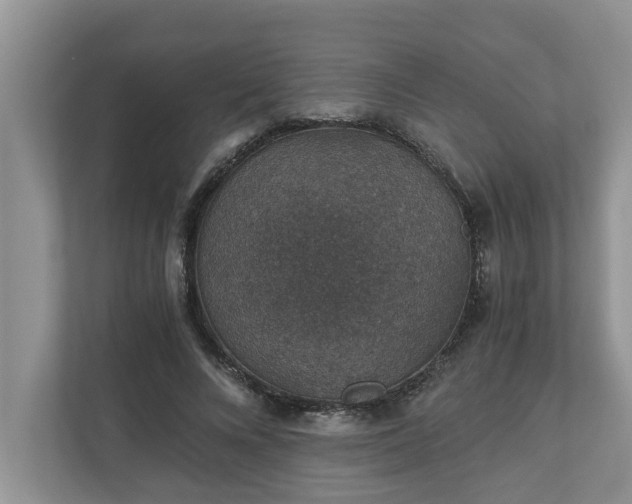 X0000110890688200906251318