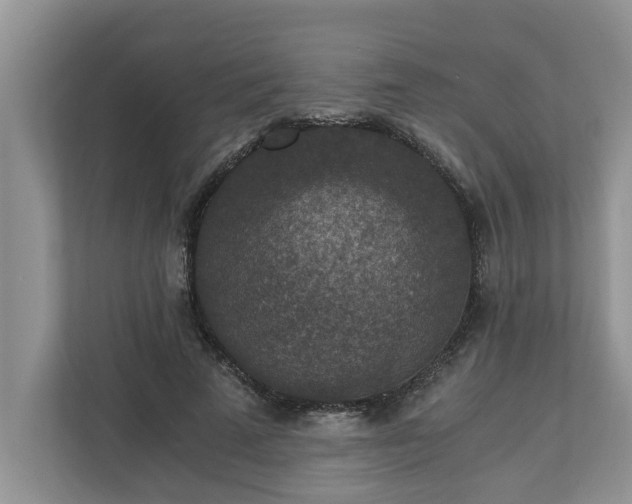 X0000110890689200906251318