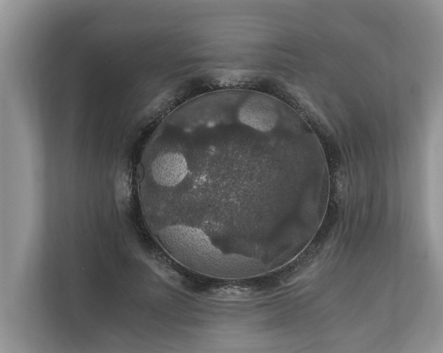 X0000110890691200906251318