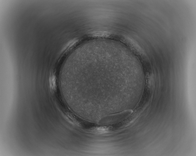 X0000110890692200906251318
