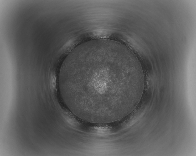 X0000110890693200906251318