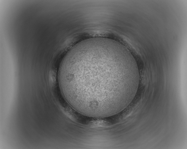X0000110890695200906251318
