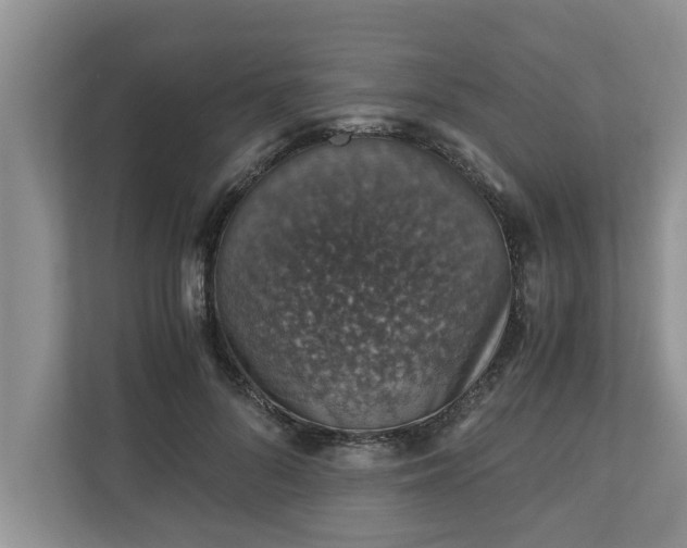 X0000110890696200906251318