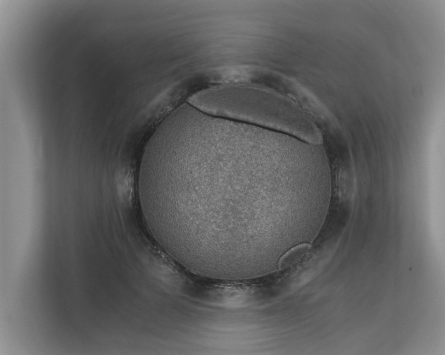 X0000110890697200906251318