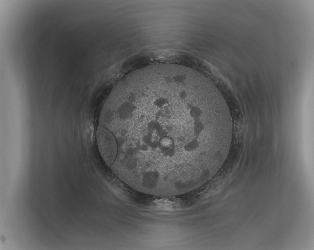 X0000110890703200906251317