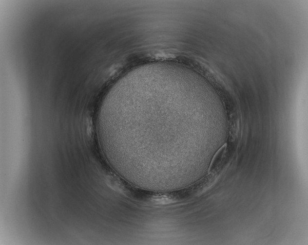 X0000110890704200906251317
