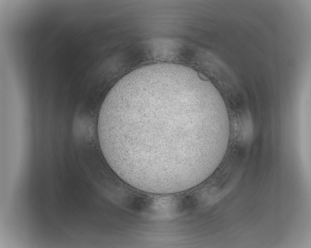 X0000110890705200906251317
