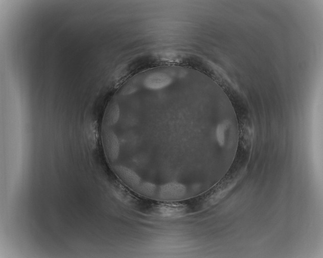 X0000110890707200906251317