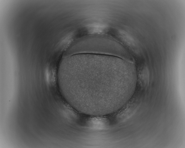 X0000110890708200906251317
