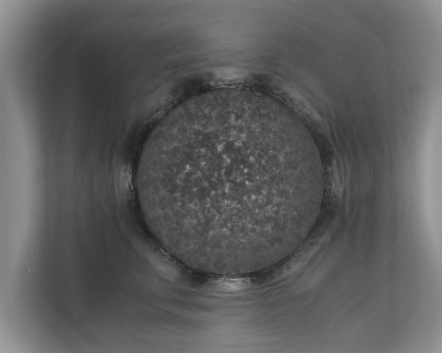 X0000110890711200906251317