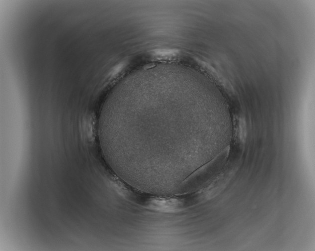 X0000110890712200906251317