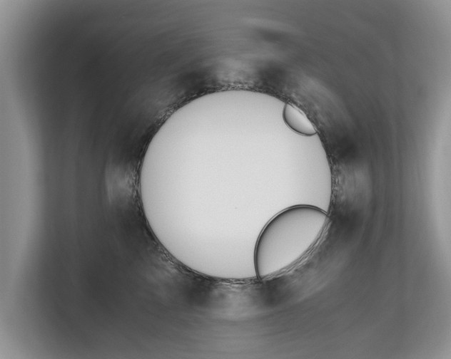 X0000110890713200906251317