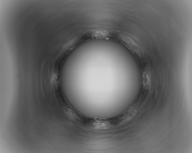 X0000110890714200906251317
