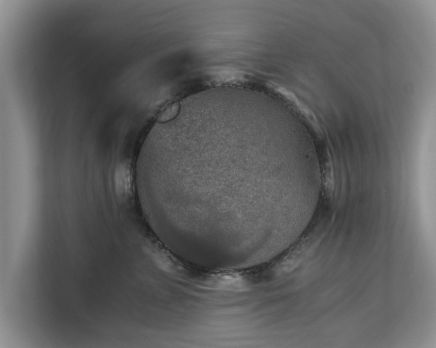 X0000110890715200906251317
