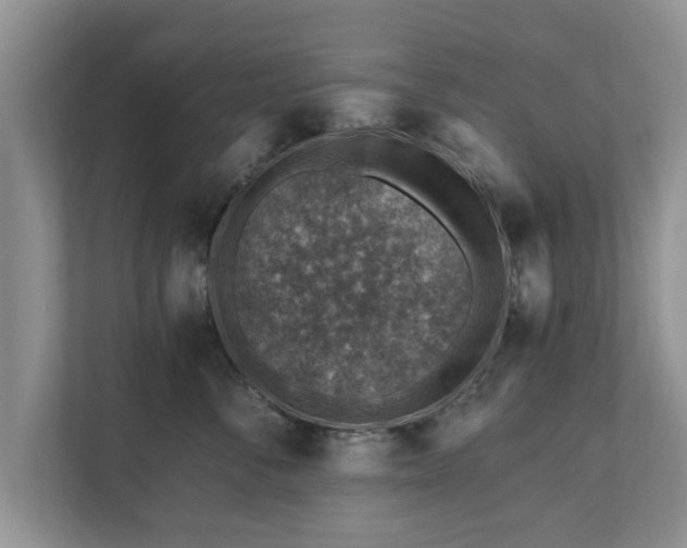 X0000110890716200906251317
