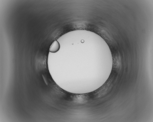 X0000110890717200906251317