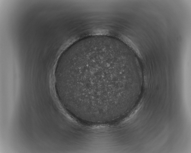 X0000110890721200906251317