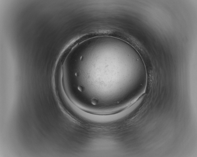 X0000110890726200906251317