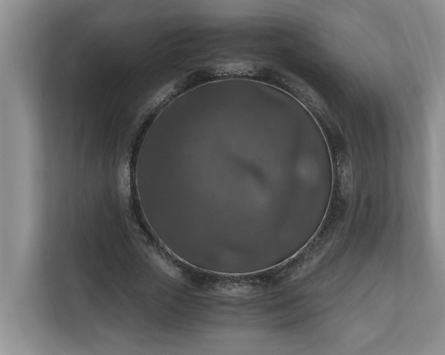 X0000110890729200906251317