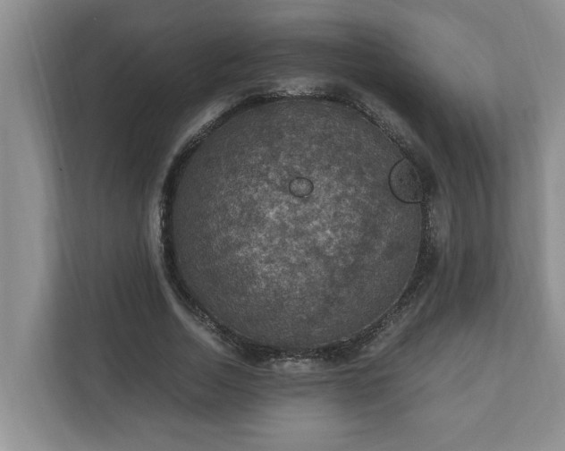 X0000110890730200906251317