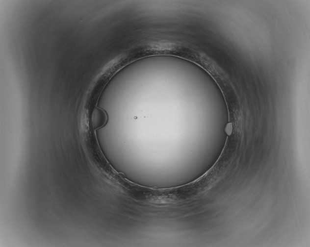 X0000110890731200906251317